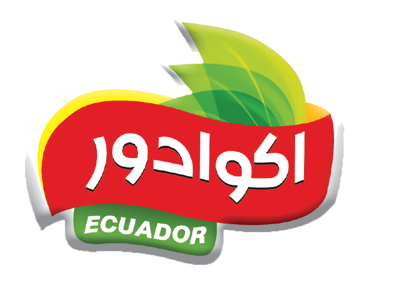 Logo 17